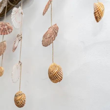 House In The Historic Center- 펜션 *